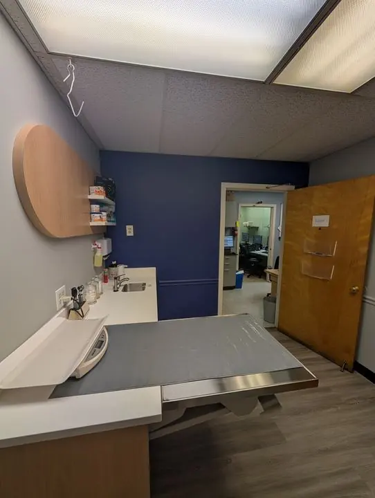 Wheaton Animal Hospital Renovation - photo 11